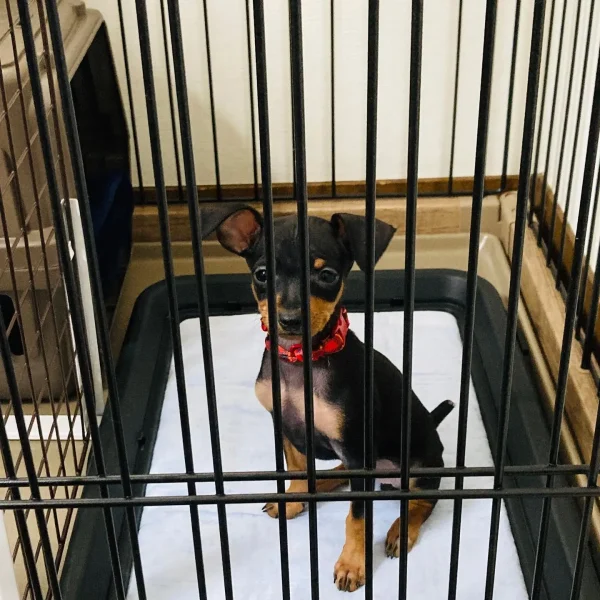 Winnie