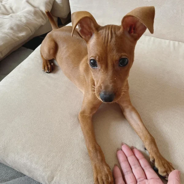 Zeus